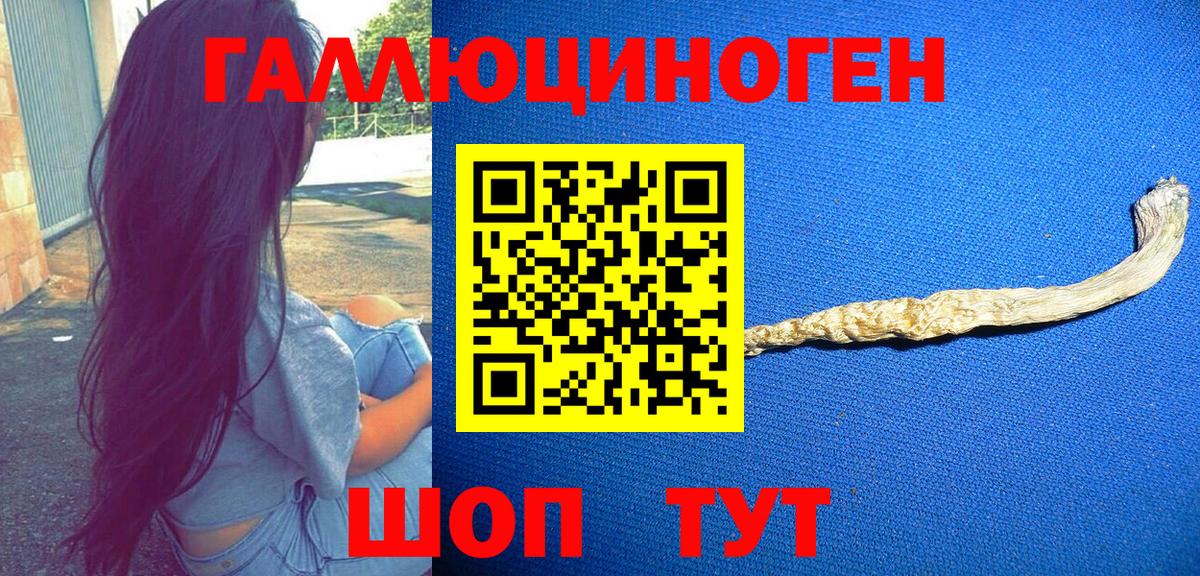 Псилоцибиновые грибы прущие грибы  Вход с VPN  Псилоцибиновые грибы MAGIC MUSHROOMS  Аша 